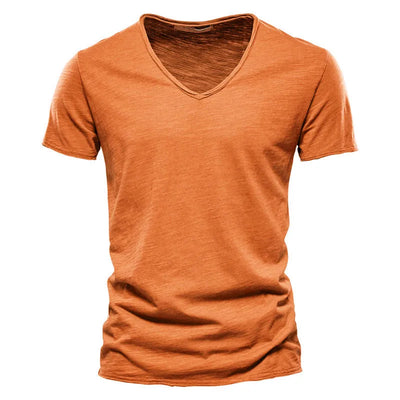 Lenoir - T-shirt summer cotton (1+1 free)